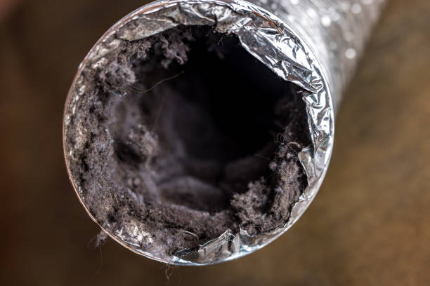 Best Emergency Air Duct Cleaning  in Hialeah, FL